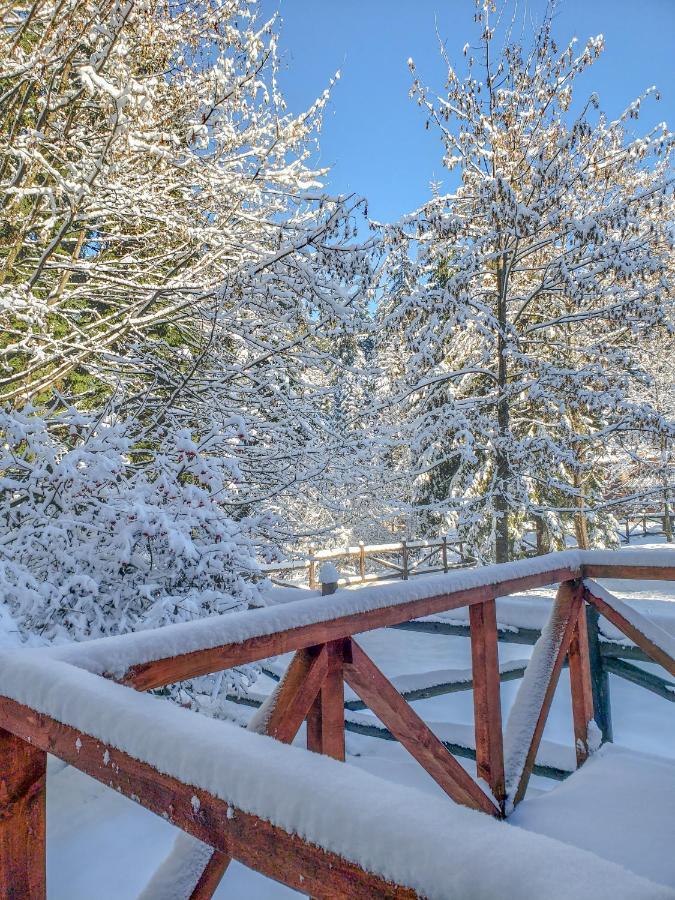Guest Rooms- Klepalski House Borovets Exterior photo